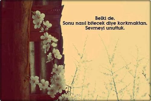 Belki de,
Sonu nasıl bitecek diye korkmaktan,
Sevmeyi unuttuk.