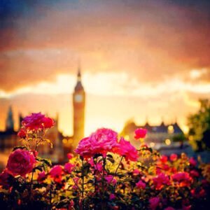 Ve herkesin Sımsıkı sarılmak
istediği bir insan…  vardır. .