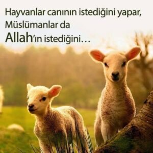 " Hayvanlar canının istediğini yapar,
Müslümanlar da ALLAH'ın istediğini…."