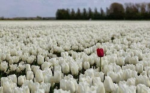 "Üzülme, üzülürüm." diyebilen biri
olmalı hayatınızda. . .