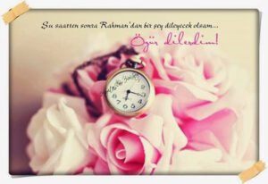 Şu saatten sonra Rahman'dan bir şey
dileyecek olsam…
Özür dilerdim!