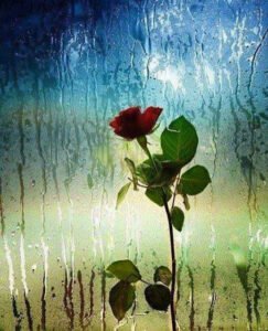 Annem beni gösterip 'biraz içine
kapanıktır' derdi