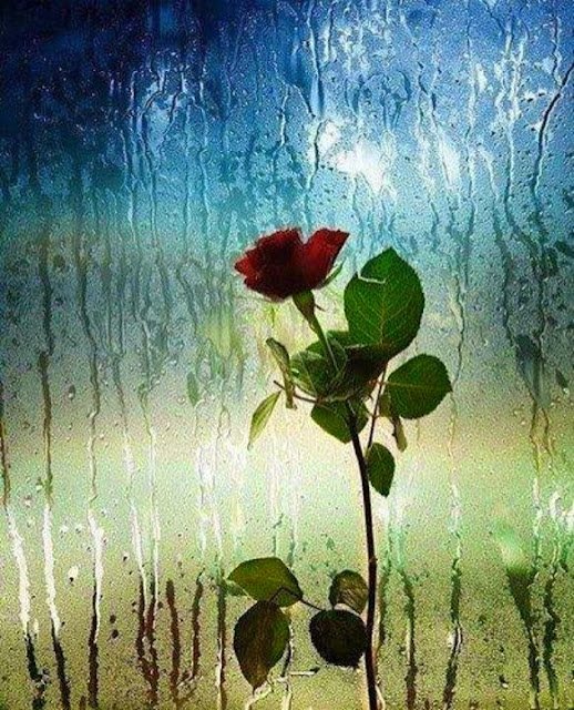 Annem beni gösterip 'biraz içine
kapanıktır' derdi