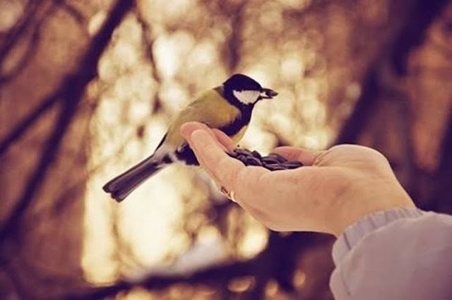 Ne verildiği değil,
kimin verdiği önemlidir…
Yetmiyorsa Rabb'in verdiği…| Selim ADIGÜZEL