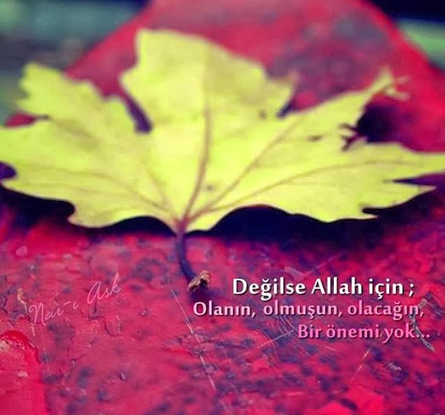 Değilse Allah için ;
Olanın,
Olmuşun,
Olacağın,
Bir önemi yok. .