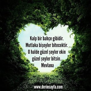 Kalp bir bahçe gibidir. Mutlaka bişeyler bitecektir. O halde güzel şeyler ekin güzel şeyler bitsin
