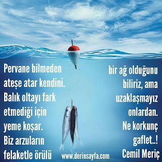 Pervane bilmeden ateşe atar kendini. Balık oltayı fark etmediği için yeme koşar. Cemil Meriç