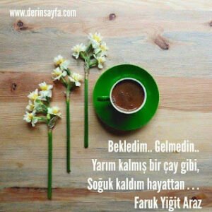 Bekledim.. Gelmedin.. Yarım kalmış bir çay gibi, soğuk kaldım hayattan . . .