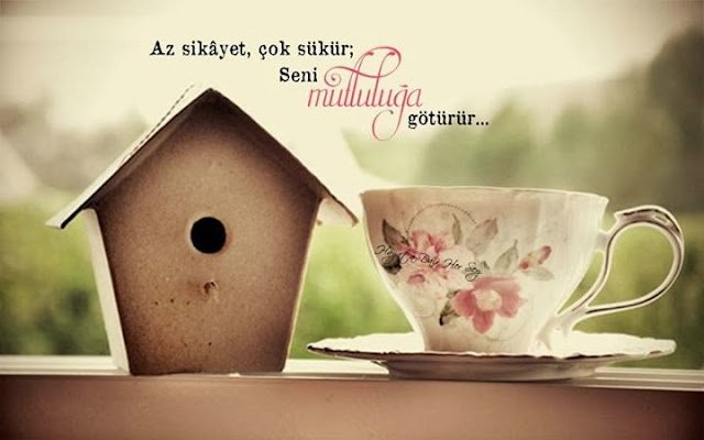 Az şikâyet, çok şükür;
Seni mutluluğa götürür…