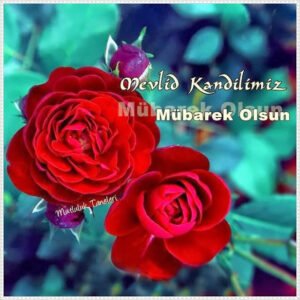 571'de bir güneş doğdu,
Adı Muhammed'di,
İlk sözü ümmet.