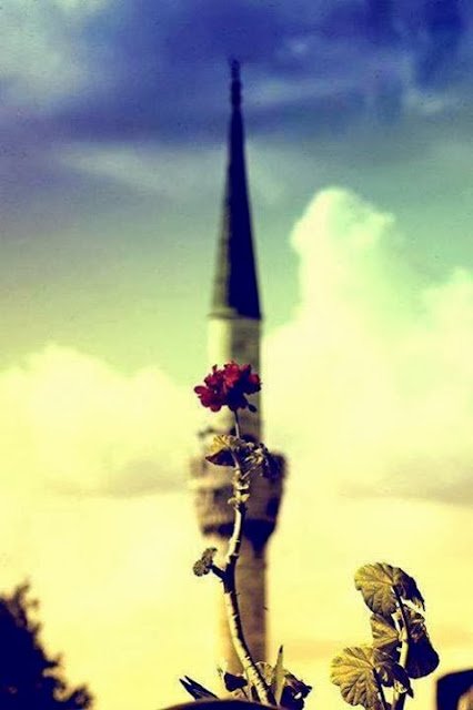 hz. isa a.s. cevap verir;
– ey iblis…! kul Rabbini imtihan
etmez…..!