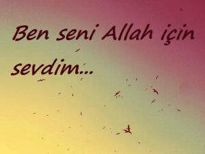 Sonra adın kitapta geçti..
altını kocaman çizdim.
dedim ki. . .”
–
Osman Nuri Ünsal