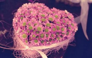 . . .en güzel şeylerin gözle değil, Kalp ile
hissedilmesidir…