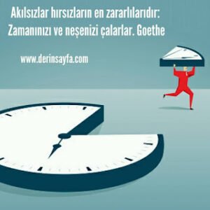 Akılsızlar hırsızların en zararlılarıdır: Zamanınızı ve neşenizi çalarlar. Goethe
