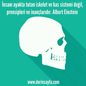 İnsanı ayakta tutan iskelet ve kas sistemi değil, prensipleri ve inançlarıdır. Albert Einstein