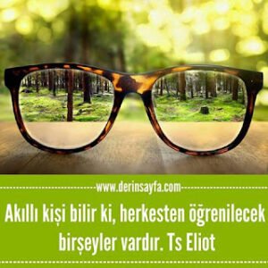 Akıllı kişi bilir ki, herkesten öğrenilecek birşeyler vardır. Ts Eliot