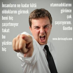 İnsanların ne kadar kötü olduklarını görmek beni hiç şaşırtmıyor fakat bu yüzden hiç utanmadıklarını.. Goethe