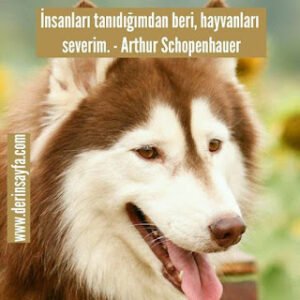 İnsanları tanıdığımdan beri, hayvanları severim. – Arthur Schopenhauer