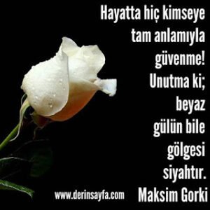 Hayatta hiç kimseye tam anIamıyIa güvenme! Unutma ki; beyaz güIün biIe göIgesi siyahtır. Maksim Gorki