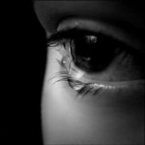 Bizim mendilimiz ıslak kalmış ne çıkar,
Kimsenin yakasında gözyaşımız yok çok şükür…
Ziya Paşa Akyürek