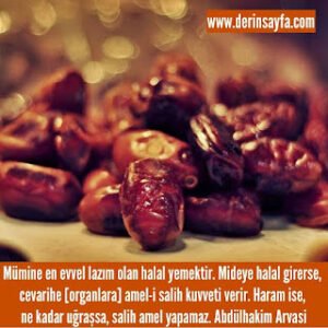 Abdülhakim Arvasi Hz. sözleri