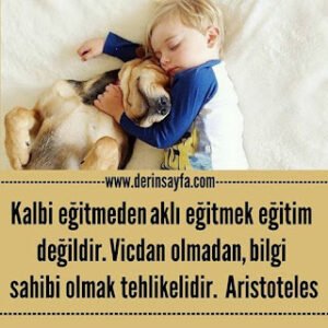 Kalbi eğitmeden aklı eğitmek eğitim değildir. Vicdan olmadan, bilgi sahibi olmak tehlikelidir.  Aristoteles