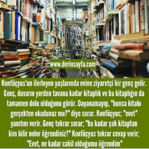“Evet, ne kadar cahil olduğumu öğrendim” Konfüçyus