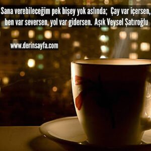 Sana verebileceğim pek bişey yok aslında;  Çay var içersen, ben var seversen, yol var gidersen. Aşık Veysel