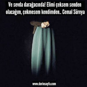 Ve sevda darağacında! Elimi çeksem senden olacağım, çekmesem kendimden.. Cemal Süreya