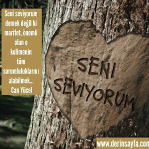 Seni seviyorum demek değil ki marifet,önemli olan o kelimenin tüm sorumluluklarını.. Can Yücel