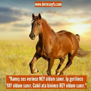 “Kamış ses verince NEY oldum sanır.  İp gerilince YAY oldum sanır. Cahil ata binince BEY oldum sanır.”