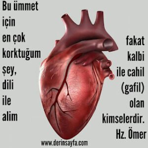 Bu ümmet için en çok korktuğum şey, dili ile alim fakat kalbi ile cahil (gafil) olan kimselerdir. Hz. Ömer
