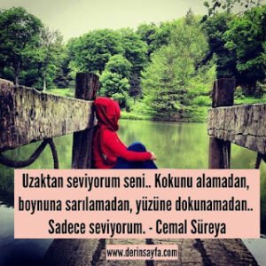 Uzaktan seviyorum seni.. Kokunu alamadan, boynuna sarılamadan, yüzüne dokunamadan.. Cemal Süreya