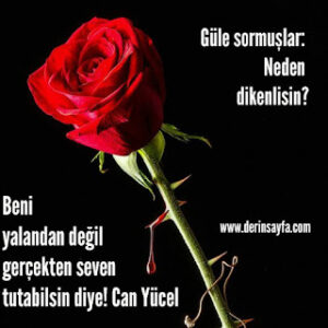 Güle sormuşlar: Neden dikenlisin? Beni yalandan değil gerçekten seven tutabilsin diye! Can Yücel