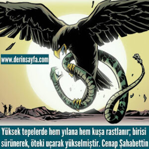 Yüksek tepelerde hem yılana hem kuşa rastlanır; birisi sürünerek, öteki uçarak yükselmiştir. Cenap Şahabettin