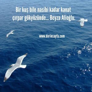 Bir kuş bile nasibi kadar kanat çırpar gökyüzünde… Beyza Alioğlu.