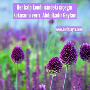Her kalp kendi içindeki çiçeğin kokusunu verir. Abdulkadir Geylani