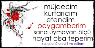 Efendim Müjdecim,Kurtarıcım, Peygamberim!Sana Uymayan Ölçü Hayat Olsa Teperim.