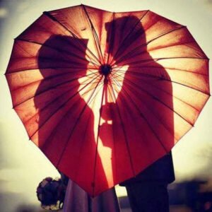 Çok kızmıştı bana..
ve dedi:
İnsan biraz sevdiğini belli eder. .
– Osman Nuri Ünsal