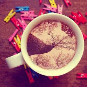 Yaşam boyu,
Ne çok şeyin
Yanından geçip
Gitmişizdir;
Ne çok fırsatın,
Hayâlin,
İnsanın,
İhtimâlin…