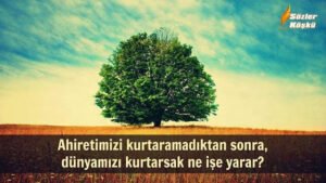 Ahiretimizi kurtaramadıktan sonradünyamızı kurtarsak ne işe yarar?