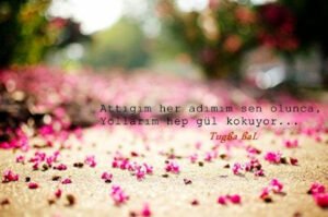 Attığım her adımım sen olunca,
Yollarım hep gül kokuyor..

Tuğba Bal