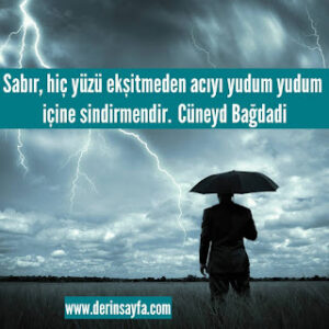 Sabır, hiç yüzü ekşitmeden acıyı yudum yudum içine sindirmendir. Cüneyd Bağdadi