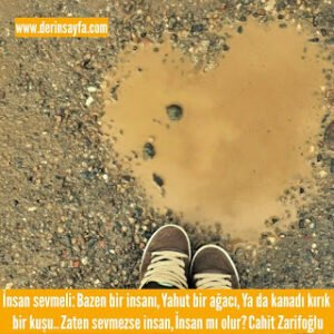 İnsan sevmeli: Bazen bir insanı, Yahut bir ağacı, Ya da kanadı kırık bir kuşu.. Zaten sevmezse insan.. Cahit Zarifoğlu