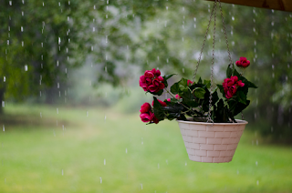 Sevmediklerinize sabretmedikçe, Sevdiklerinize kavuşamazsınız.!!! Hz.Muhammed (s.a.v)