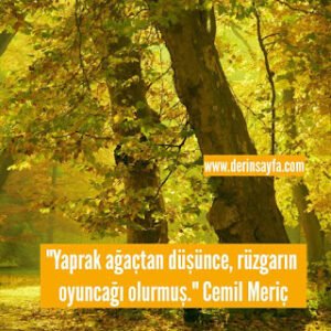“Yaprak ağaçtan düşünce, rüzgarın oyuncağı olurmuş.” Cemil Meriç