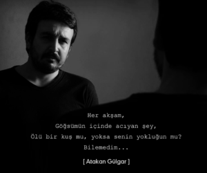 Her akşam göğsümün içinde acıyan şey ölü bir kuş mu , yoksa senin yokluğun mu ? Atakan Gülgar