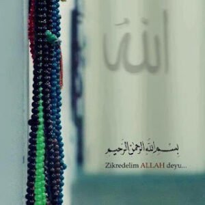 Aslında yalnız değilim