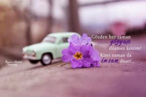 “Gözden her zaman gözyaşı düşmez âzizim! Kimi zaman da insan düşer…”