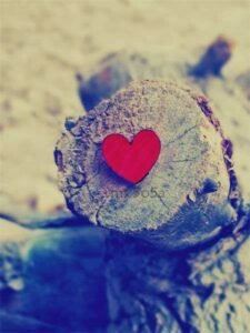 " Eğer hata yapmış olan herkesi
hayatımdan çıkarmış olsaydım,
geriye hiç kimsem kalmazdı."